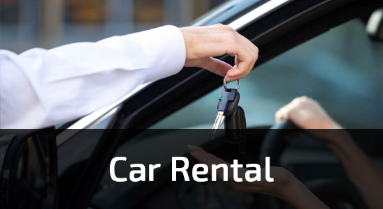 Car Rental 